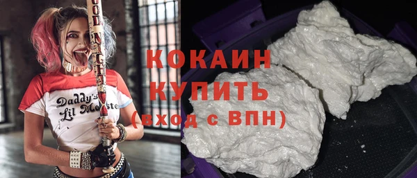шишки Баксан