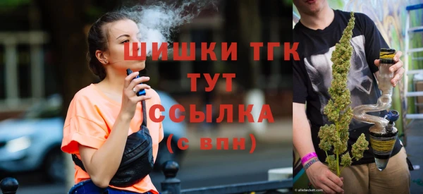 шишки Баксан