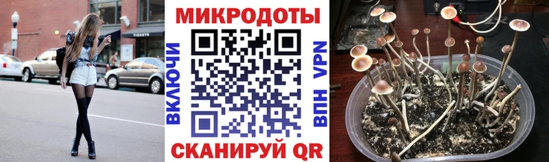 хочу наркоту  Ессентуки  Псилоцибиновые грибы MAGIC MUSHROOMS 